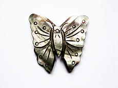 motýl s tečkami